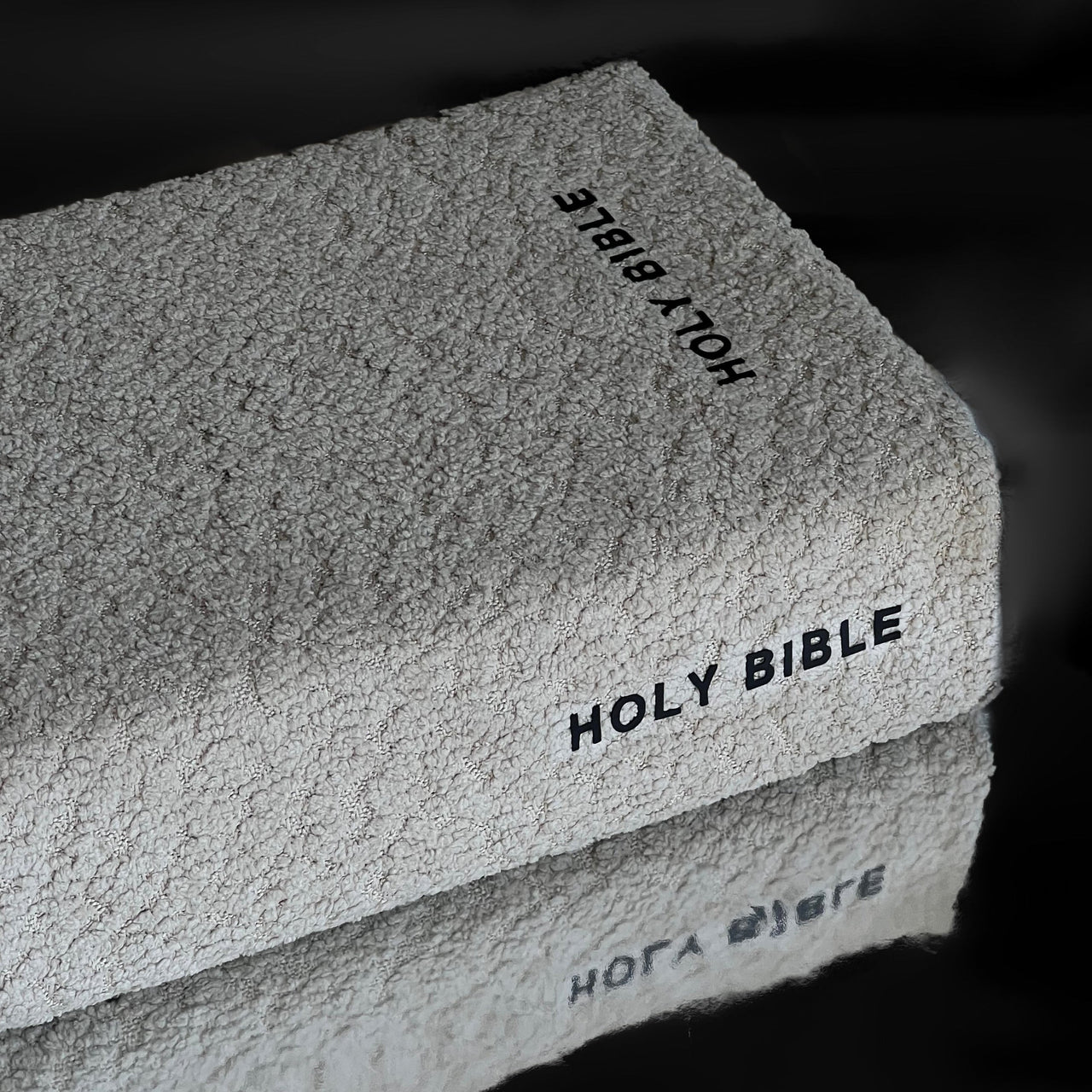 BIBLE COVERS