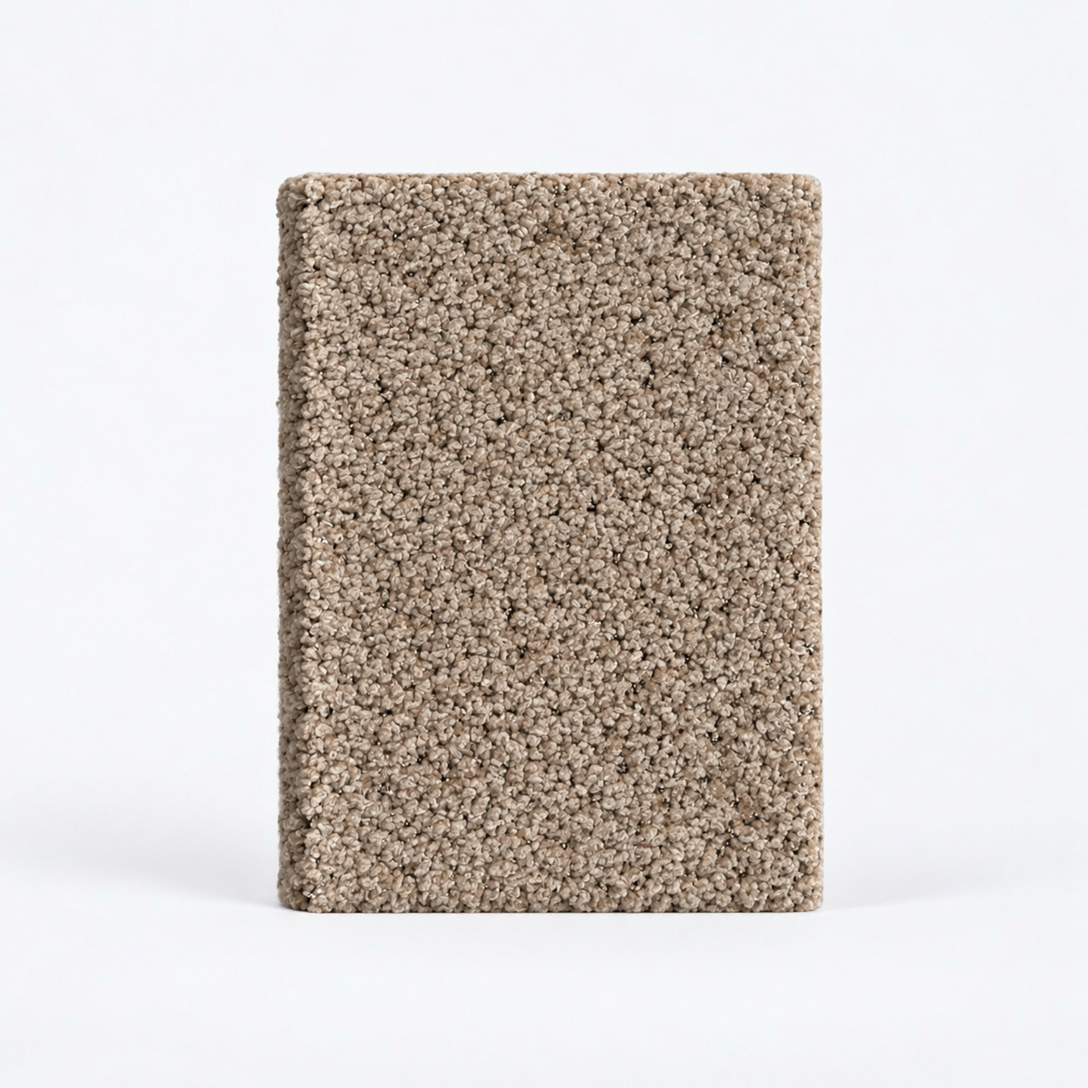 BARE CARAMEL BOUCLÉ BIBLE COVER