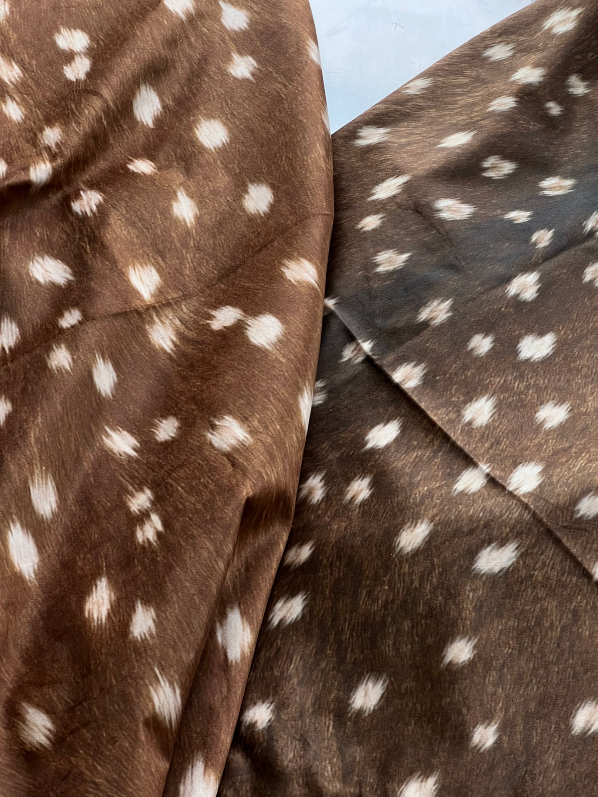 FAWN BIBLE COVER